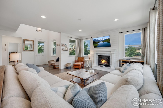 living room featuring a premium fireplace, a healthy amount of sunlight, and hardwood / wood-style floors