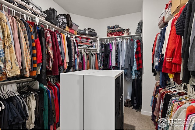 spacious closet with carpet