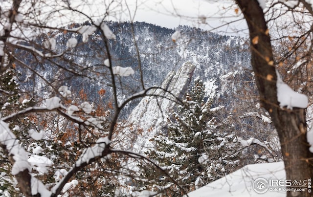 exterior details featuring a mountain view and a wooded view