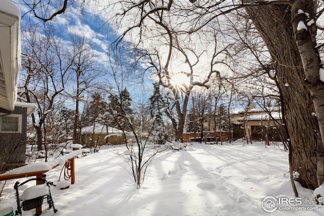 view of yard layered in snow