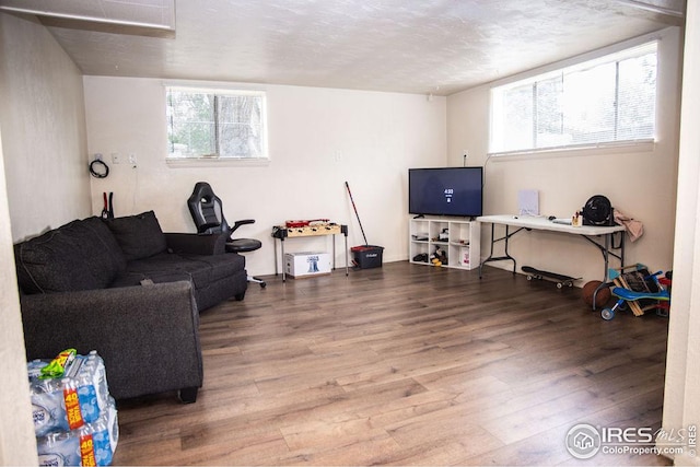 living room with hardwood / wood-style flooring