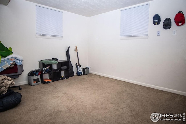 interior space with carpet floors and a textured ceiling