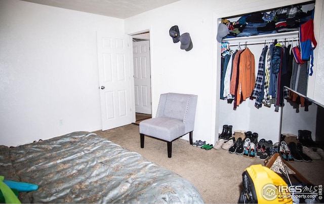 bedroom with a closet and carpet floors