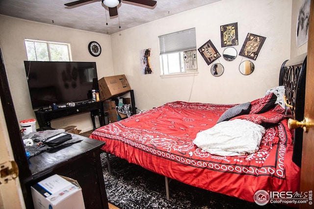 bedroom featuring ceiling fan