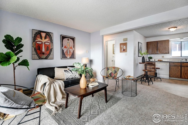 carpeted living room with sink and a textured ceiling