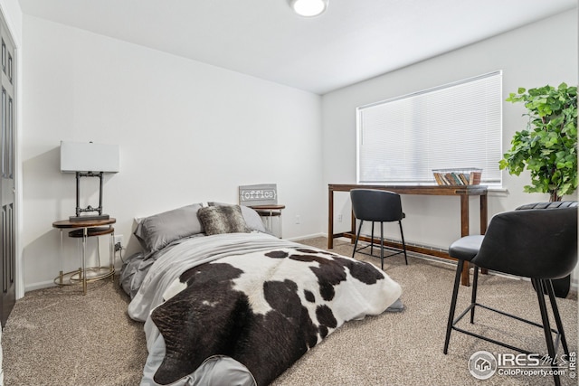 bedroom with carpet