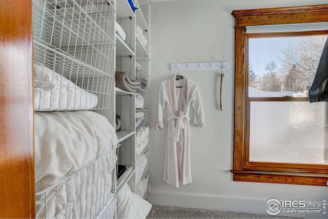 spacious closet with carpet floors