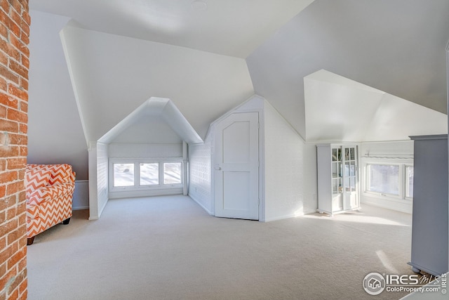 additional living space with light colored carpet, vaulted ceiling, and a wealth of natural light