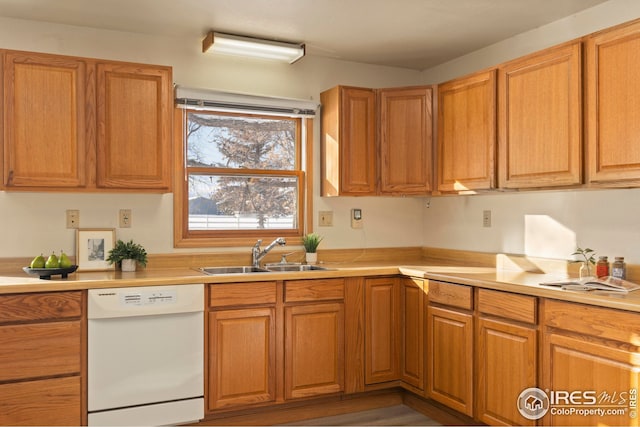 kitchen featuring sink and dishwasher