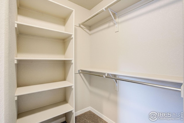 spacious closet with carpet