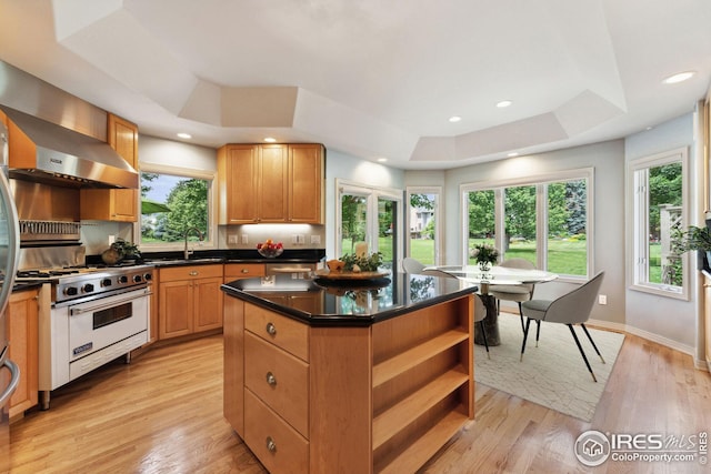 kitchen with luxury range, sink, light hardwood / wood-style flooring, a tray ceiling, and a kitchen island