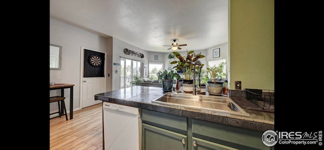 kitchen featuring sink, light wood-type flooring, white dishwasher, green cabinets, and ceiling fan