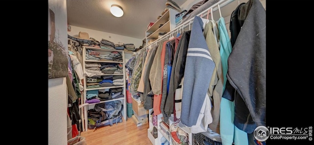 walk in closet featuring hardwood / wood-style floors