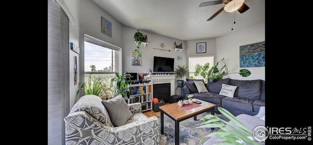 living room featuring hardwood / wood-style flooring and ceiling fan