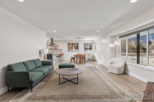 living room featuring hardwood / wood-style flooring