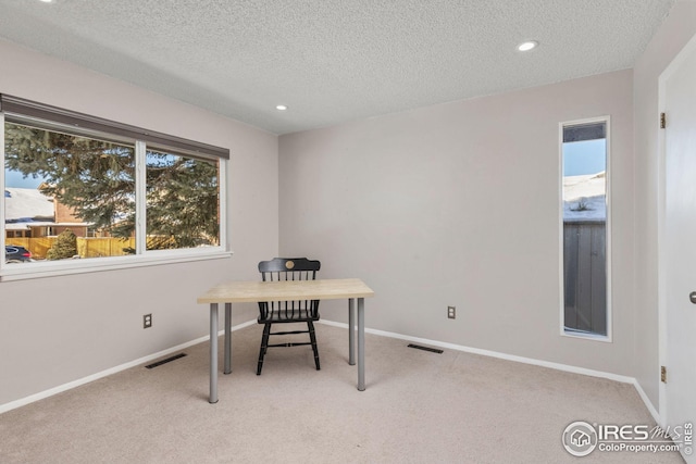 office space featuring light colored carpet and a textured ceiling