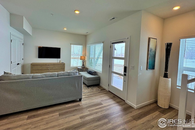 living room with wood-type flooring