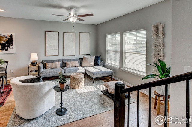 living room with ceiling fan and light hardwood / wood-style flooring