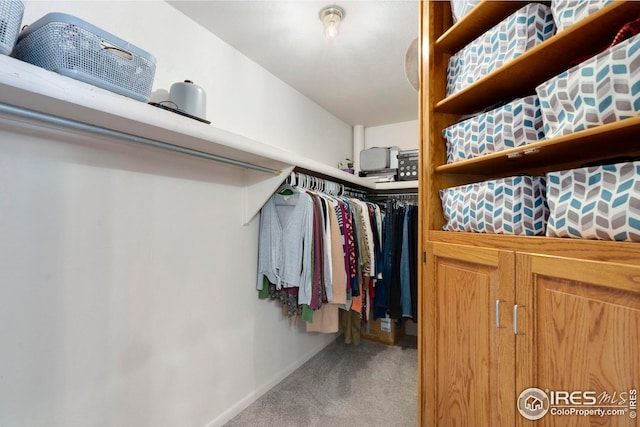 spacious closet featuring carpet floors