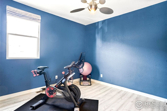exercise room with ceiling fan and light wood-type flooring