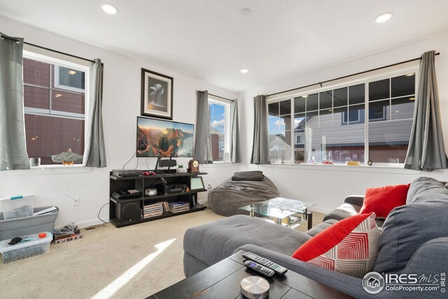 living room with carpet