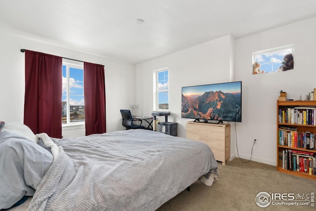 view of carpeted bedroom