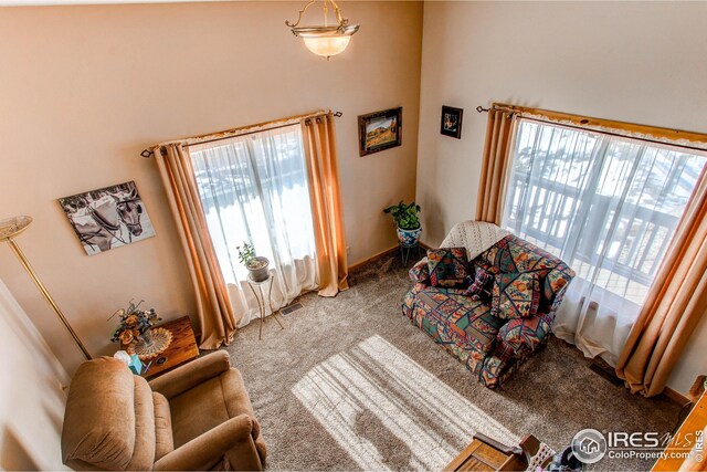420 E County Road 10, Berthoud, CO 80513 - living area with a high ceiling and carpet floors