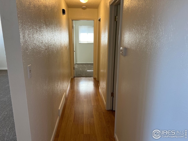 hall featuring light hardwood / wood-style floors