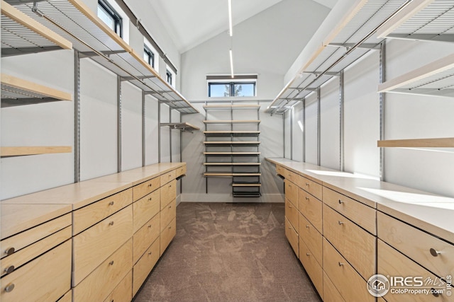 635 Paragon Dr, Boulder, CO 80303 - spacious closet featuring dark colored carpet and high vaulted ceiling