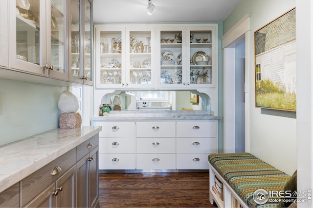 interior space featuring white cabinetry, light stone countertops, and dark hardwood / wood-style floors