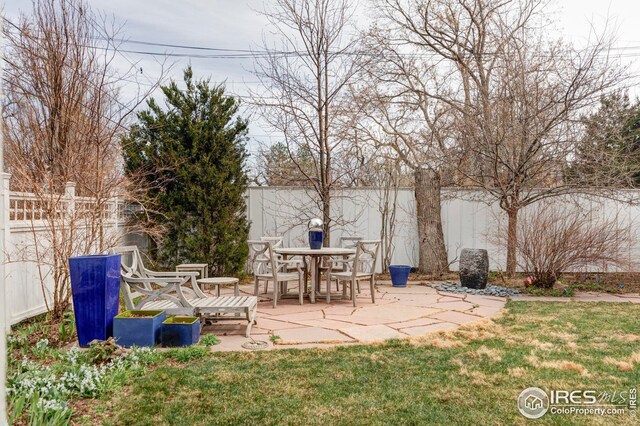 view of yard with outdoor dining space, a fenced backyard, and a patio area