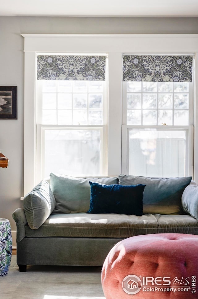 living room with hardwood / wood-style flooring and a healthy amount of sunlight