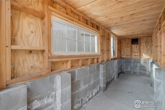 basement with a healthy amount of sunlight and wooden ceiling