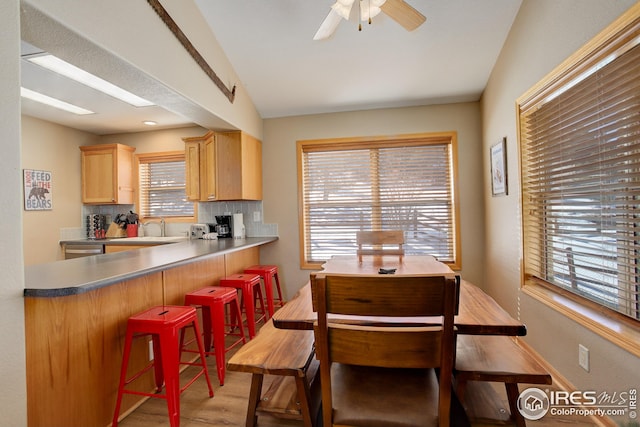 dining area featuring vaulted ceiling, sink, ceiling fan, and light hardwood / wood-style floors