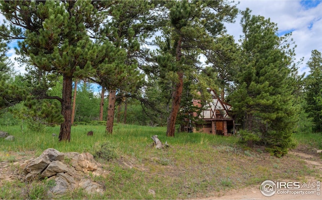 1569 County Road 103, Nederland CO, 80466 land for sale