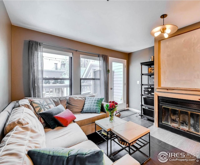 living room with dark hardwood / wood-style floors