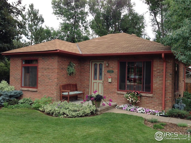 single story home featuring a front lawn