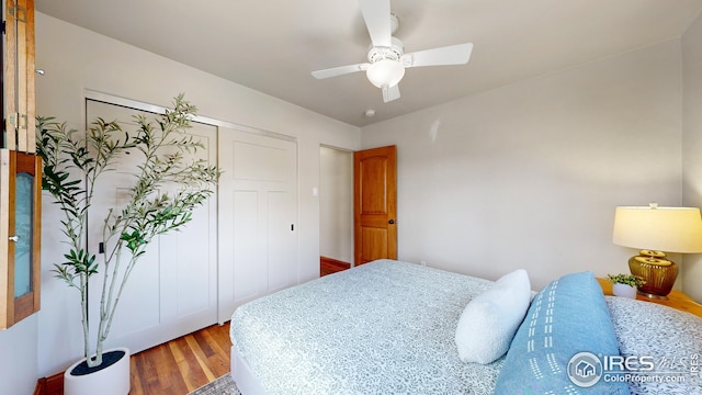 bedroom with ceiling fan, hardwood / wood-style floors, and a closet