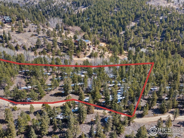 61 Rim Rd, Boulder, CO 80302