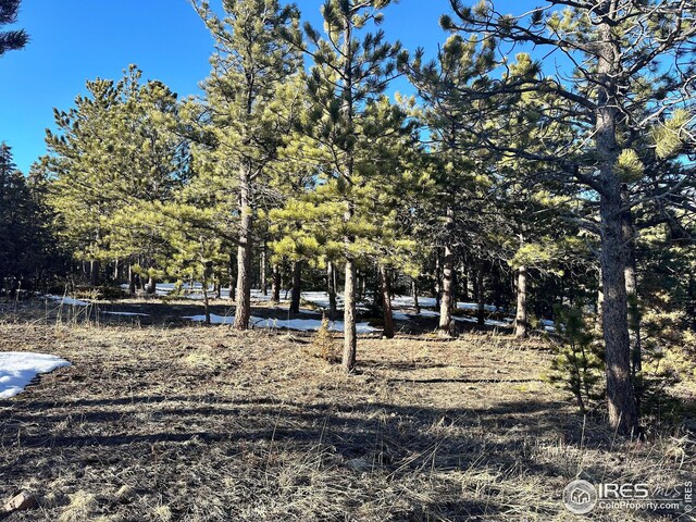 61 Rim Rd, Boulder, CO 80302