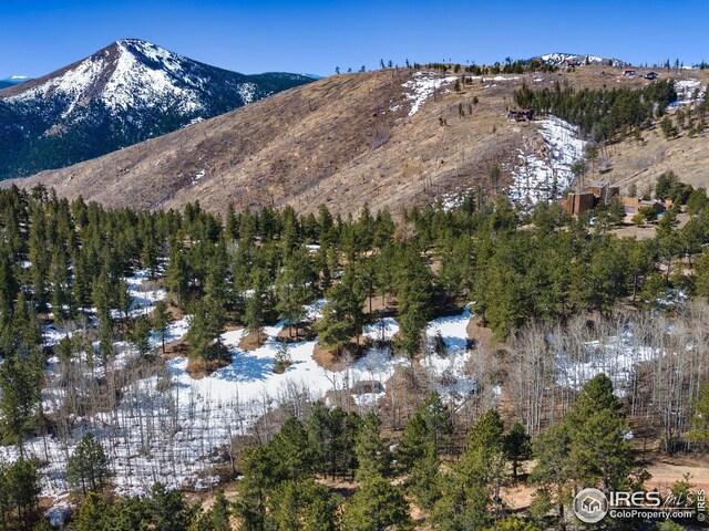 61 Rim Rd, Boulder, CO 80302