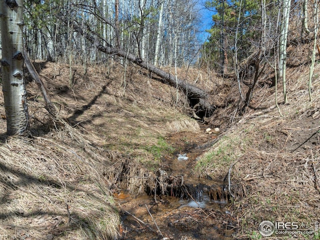 61 Rim Rd, Boulder, CO 80302
