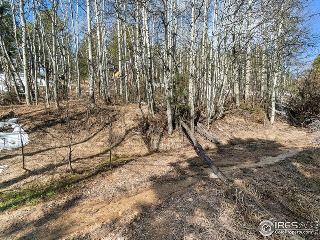 61 Rim Rd, Boulder, CO 80302
