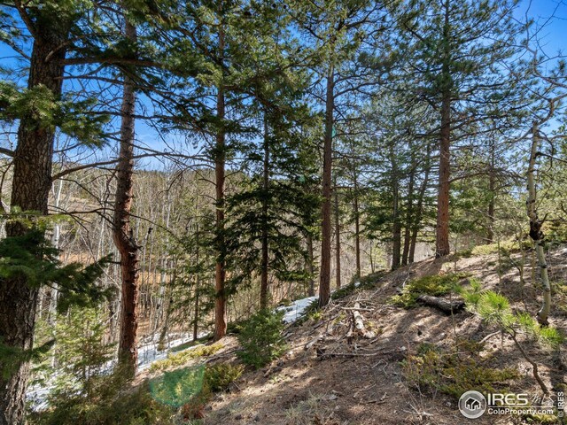 61 Rim Rd, Boulder, CO 80302