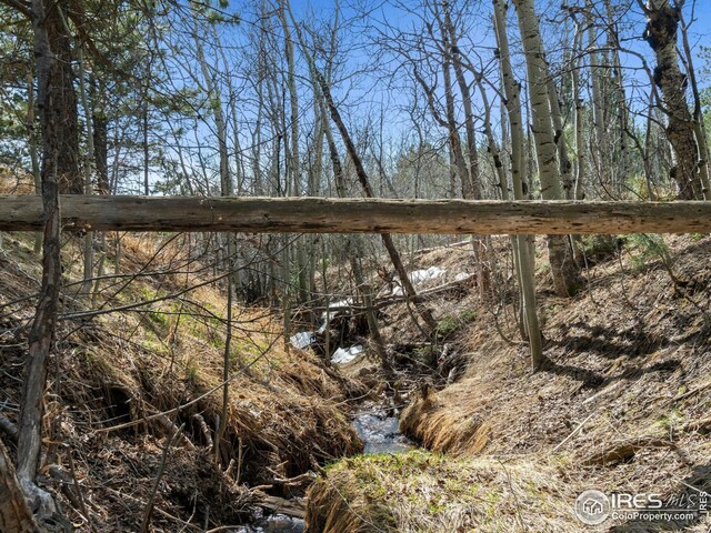 61 Rim Rd, Boulder, CO 80302