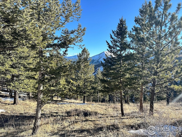 61 Rim Rd, Boulder, CO 80302