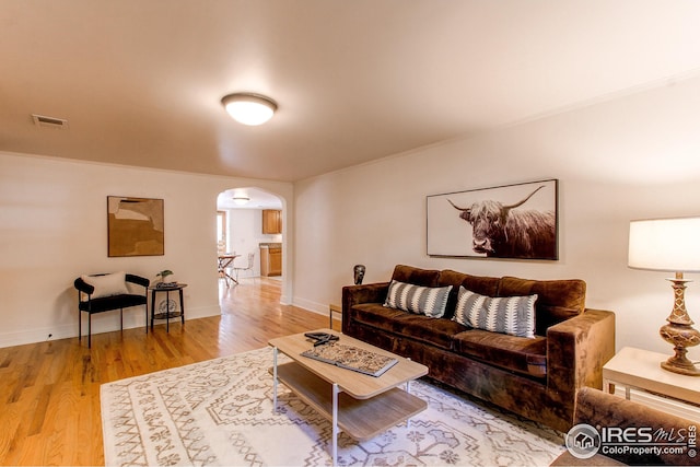 living room featuring wood-type flooring