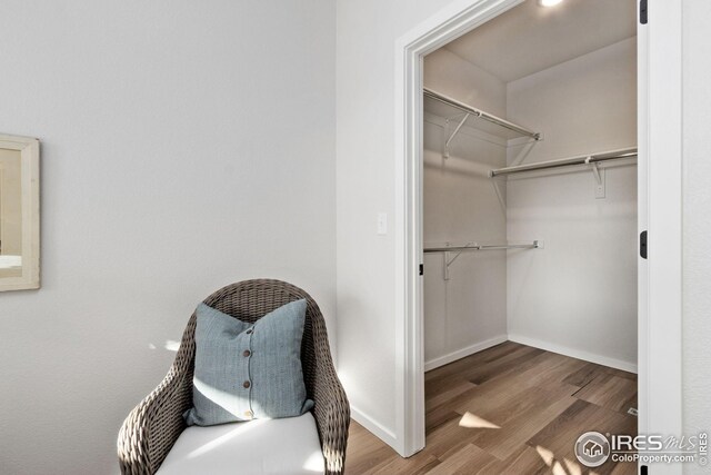 spacious closet featuring wood-type flooring
