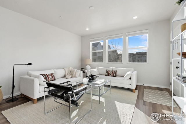 living room with wood-type flooring