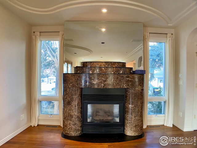 room details featuring wood-type flooring and a premium fireplace